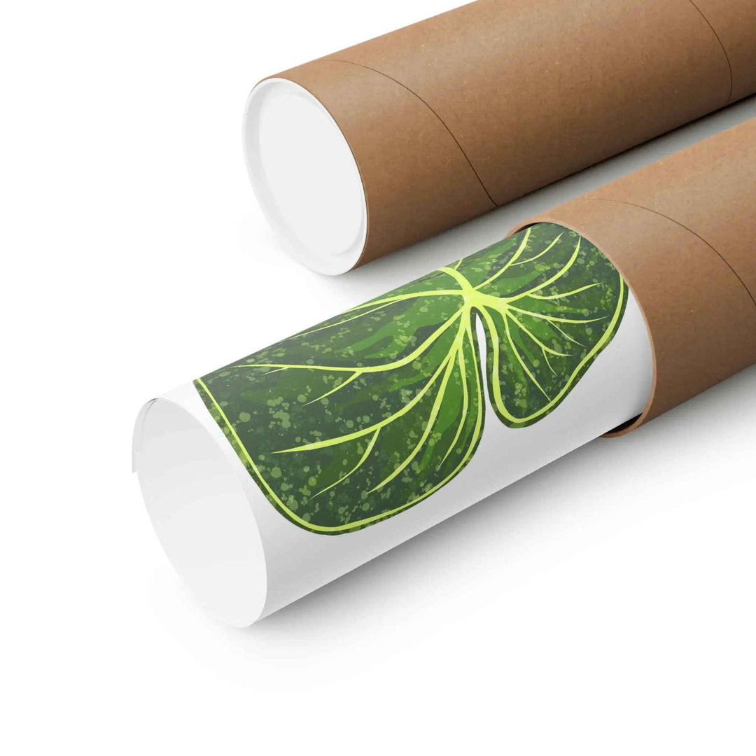 Philodendron Gloriosum Print Botanical Wall Art – Tropical Leaf Poster on Museum-Grade Paper Unframed