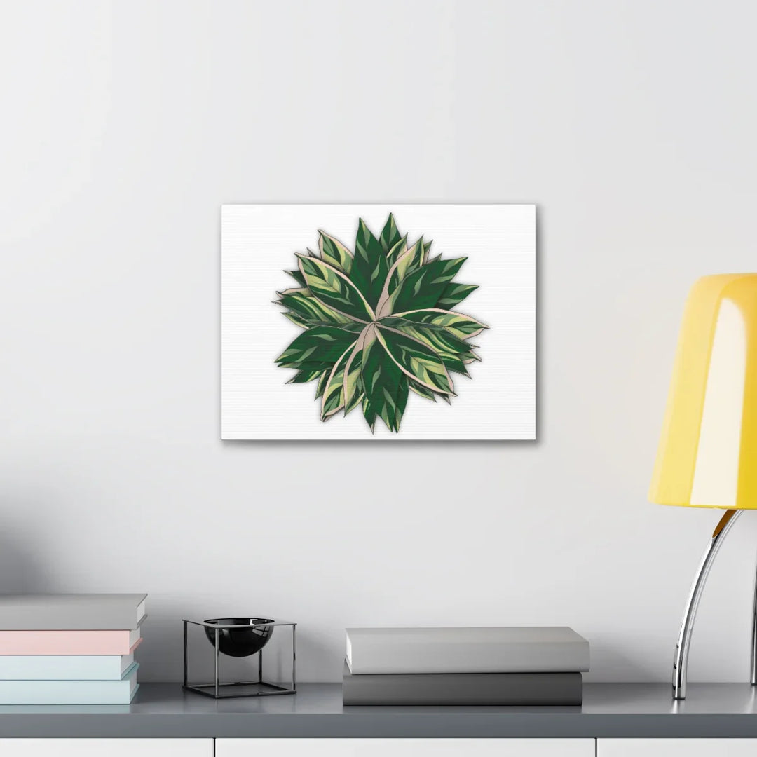 Stromanthe Triostar Canvas - Pastel Stripe Canvas Art Print With Vivid Color Artwork - Laura Christine Photography & Design