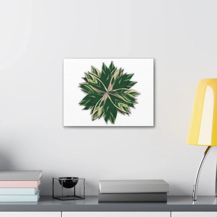 Stromanthe Triostar Canvas - Pastel Stripe Canvas Art Print With Vivid Color Artwork - Laura Christine Photography & Design