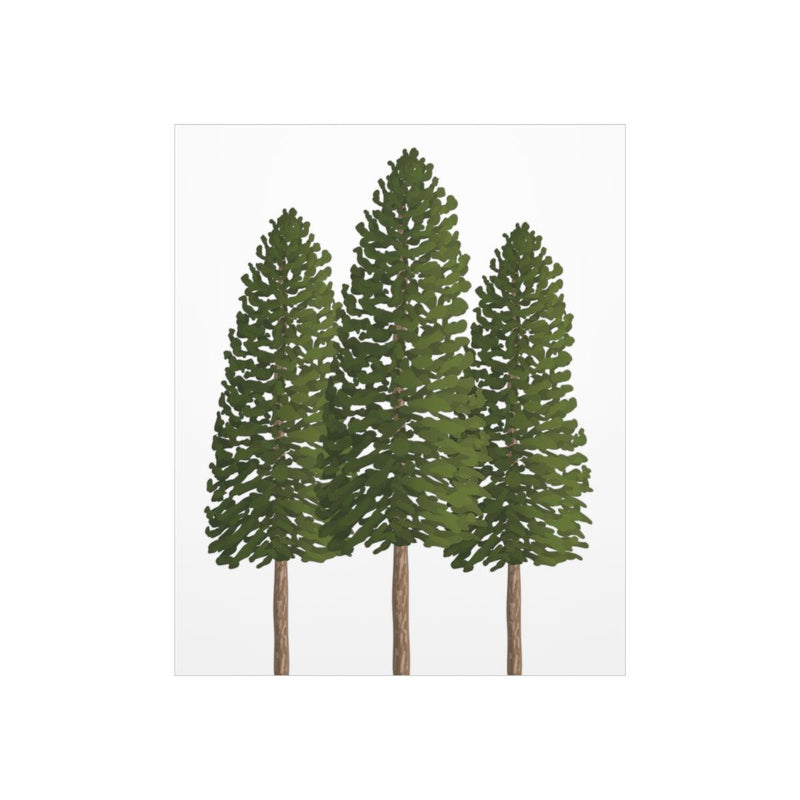 Ponderosa Pine Print, Poster, Laura Christine Photography & Design, Back to School, Home & Living, Indoor, Matte, Paper, Posters, Valentine&