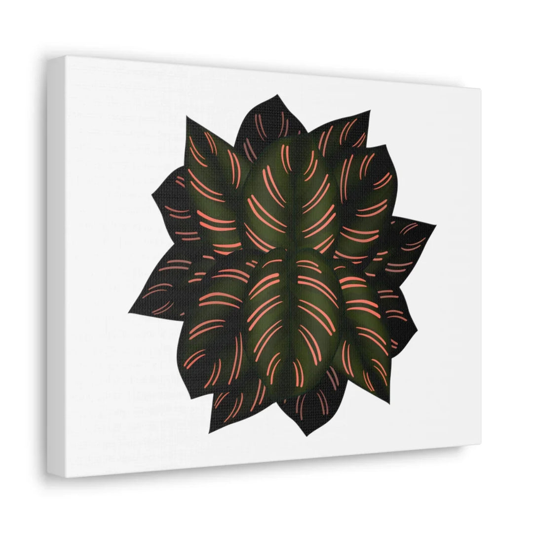 Calathea Pinstripe Canvas – Botanical Canvas Art Print | Matte Finish Wall Decor