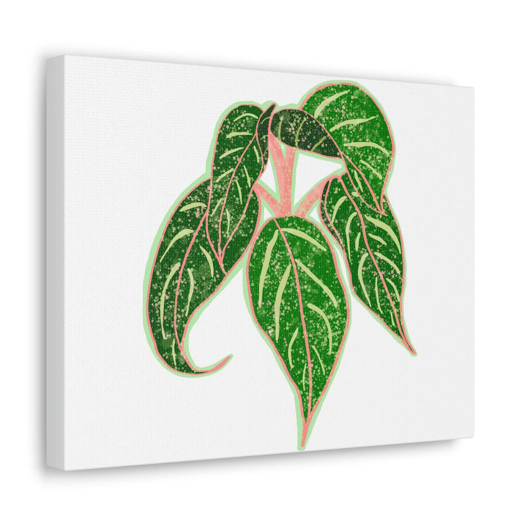 Aglaonema Plant Canvas | Sparkling Plant Artwork - Colorfast Canvas Art Print Decor