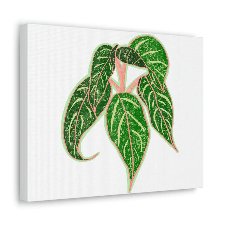 Aglaonema Plant Canvas | Sparkling Plant Artwork - Colorfast Canvas Art Print Decor
