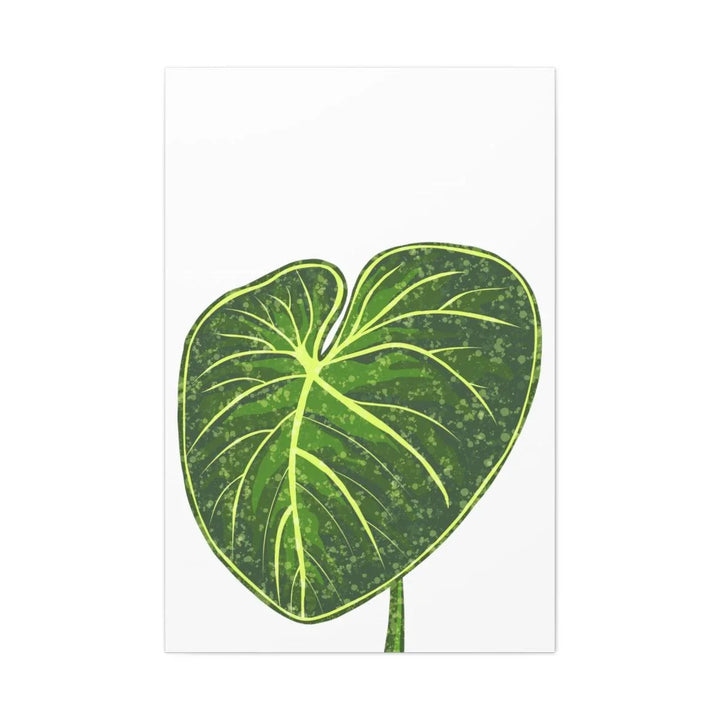 Philodendron Gloriosum Canvas - Stretched Canvas Art Print | Matte Indoor Wall Art - Laura Christine Photography & Design