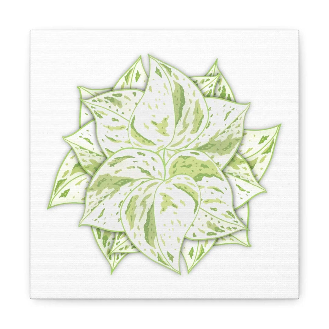Snow Queen Pothos Canvas – Variegated Leaf Canvas Art Print | Durable Cotton - Laura Christine Photography & Design