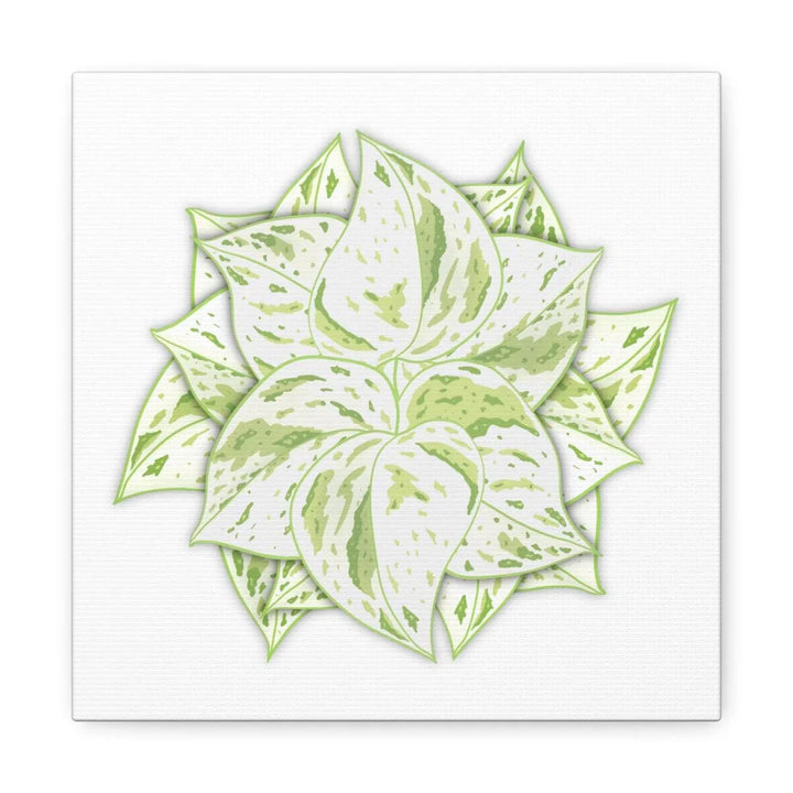 Snow Queen Pothos Canvas – Variegated Leaf Canvas Art Print | Durable Cotton - Laura Christine Photography & Design