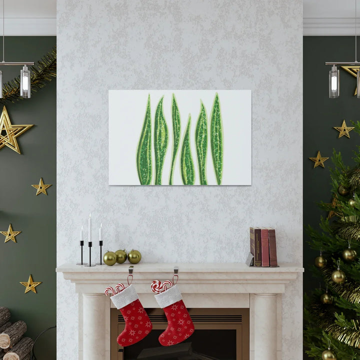 Snake Plant Canvas | Botanical Canvas Decor - Matte Finish Artwork for Living Room - Laura Christine Photography & Design