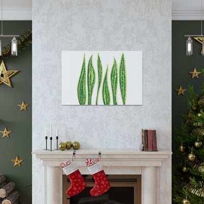 Snake Plant Canvas