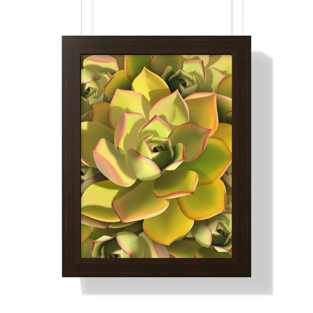 Noble Aeonium Succulent Pattern Framed Print, Poster, Printify, Framed, Home & Living, Indoor, Paper, Posters, Laura Christine Photography & Design, laurachristinedesign.com