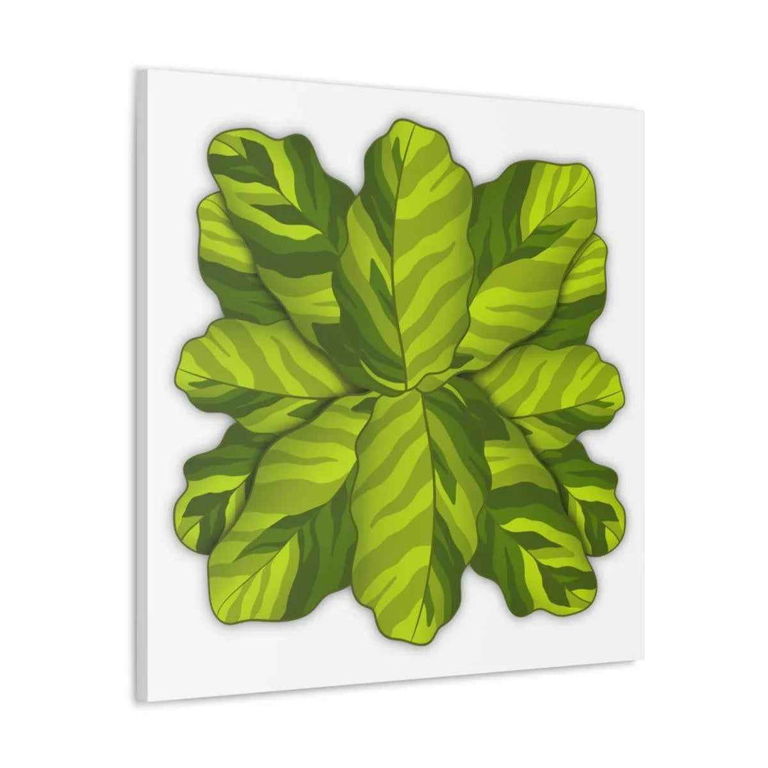 Calathea Yellow Fusion Canvas – Botanical Canvas Print With Unique Leaf Pattern Art