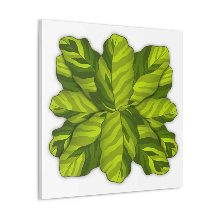 Calathea Yellow Fusion Canvas – Botanical Canvas Print With Unique Leaf Pattern Art