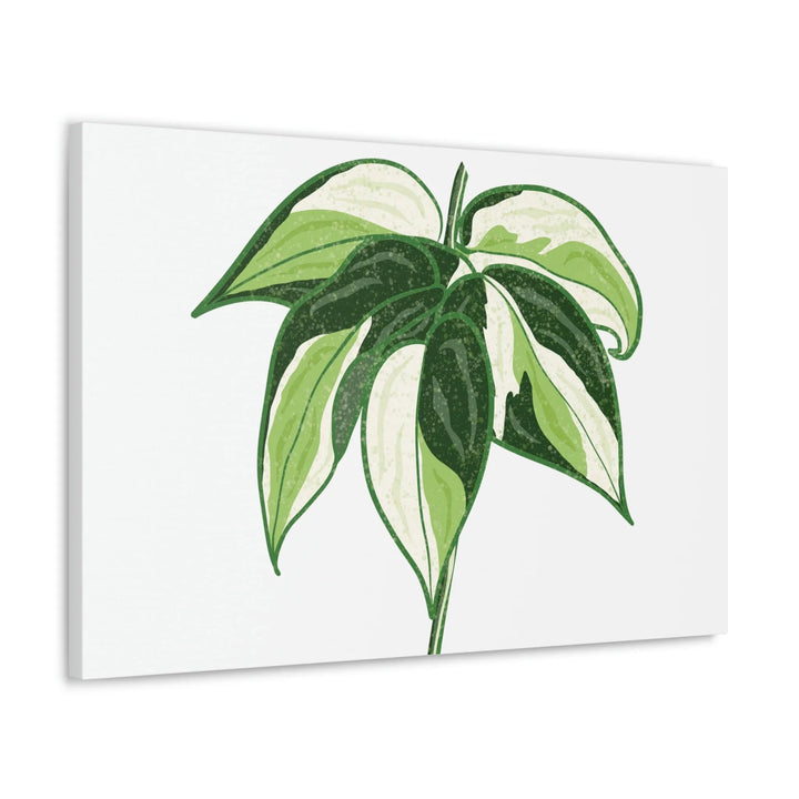 Philodendron Canvas Print - Cream Splash Variegated Plant Art on Matte Cotton Canvas