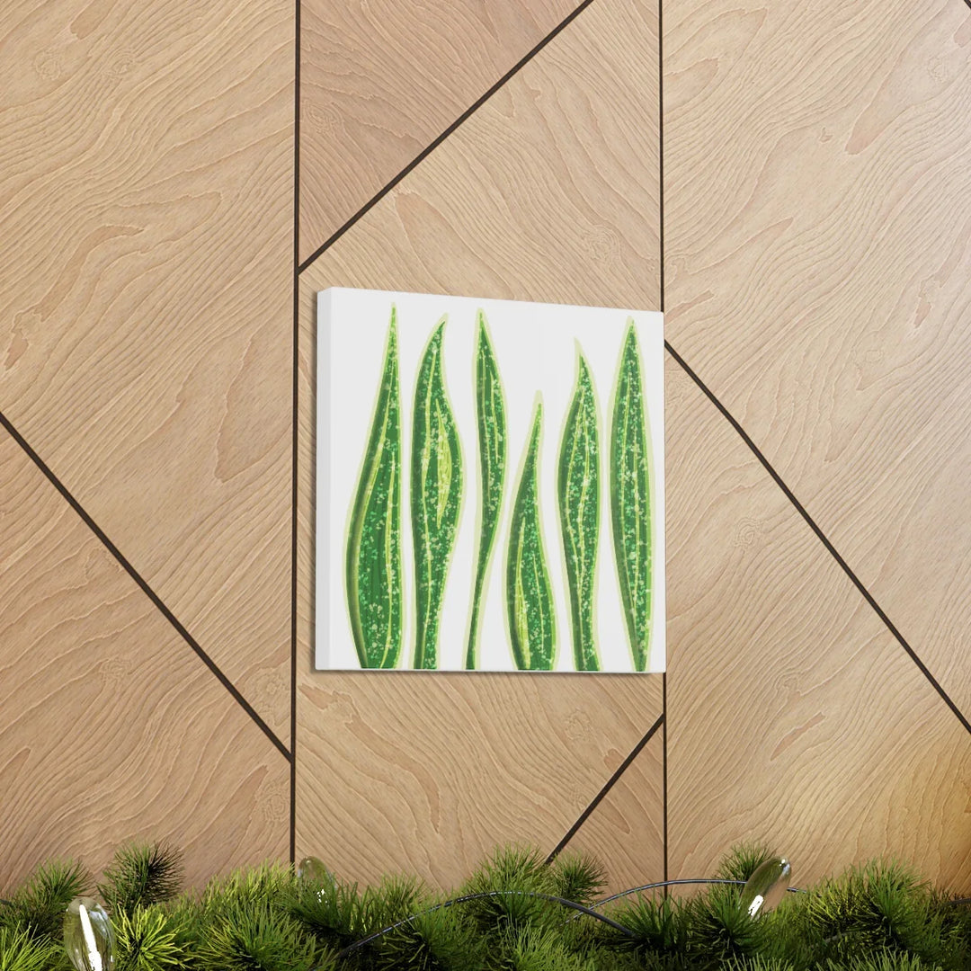 Snake Plant Canvas | Botanical Canvas Decor - Matte Finish Artwork for Living Room - Laura Christine Photography & Design