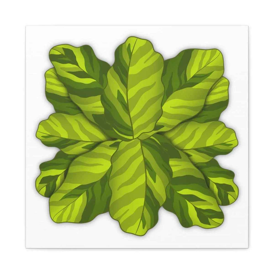 Calathea Yellow Fusion Canvas – Botanical Canvas Print With Unique Leaf Pattern Art