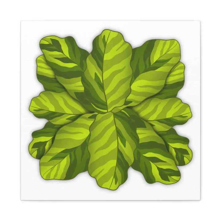 Calathea Yellow Fusion Canvas – Botanical Canvas Print With Unique Leaf Pattern Art