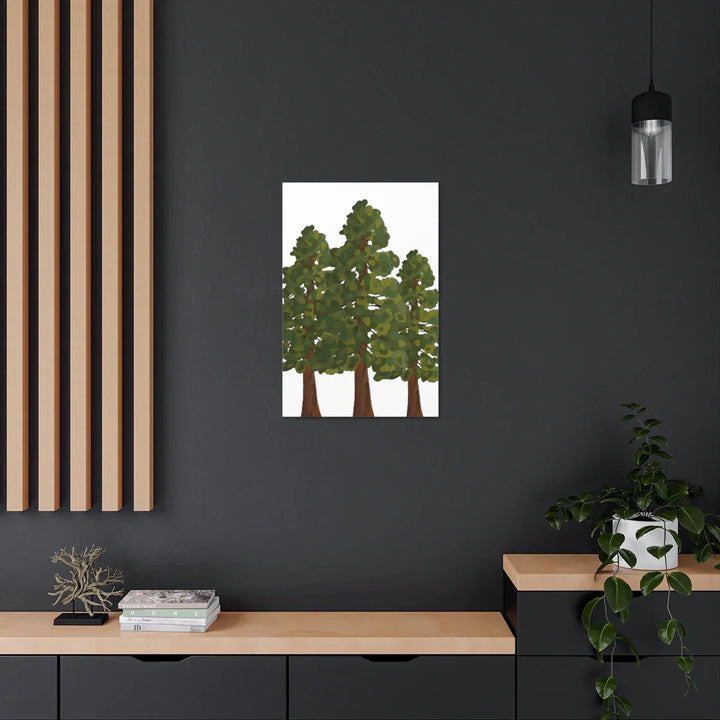 Coastal Redwoods Canvas - Stretched Cotton Canvas Art Print | Matte Finish Wall Hanging Artwork