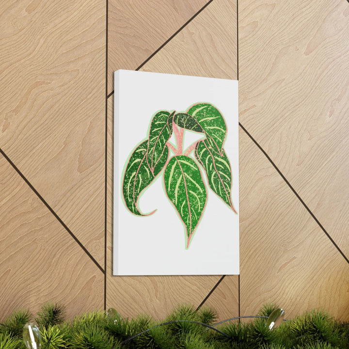 Aglaonema Plant Canvas | Sparkling Plant Artwork - Colorfast Canvas Art Print Decor