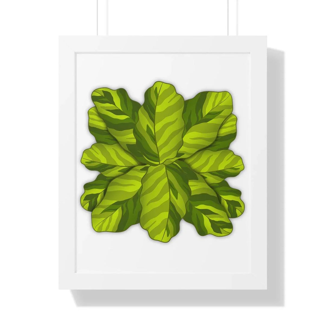 Calathea Yellow Fusion Framed Print, Poster, Laura Christine Photography & Design, Bottle, Calathea, Canvas Bag, Coffee, Drinkware, Framed, Home & Living, Indoor, Paper, Posters, Prayer Plant, Reusable, Shopping Bag, Tea, Tote Bag, Travel, Tumbler, Water, Yellow Fusion, Laura Christine Photography & Design, laurachristinedesign.com