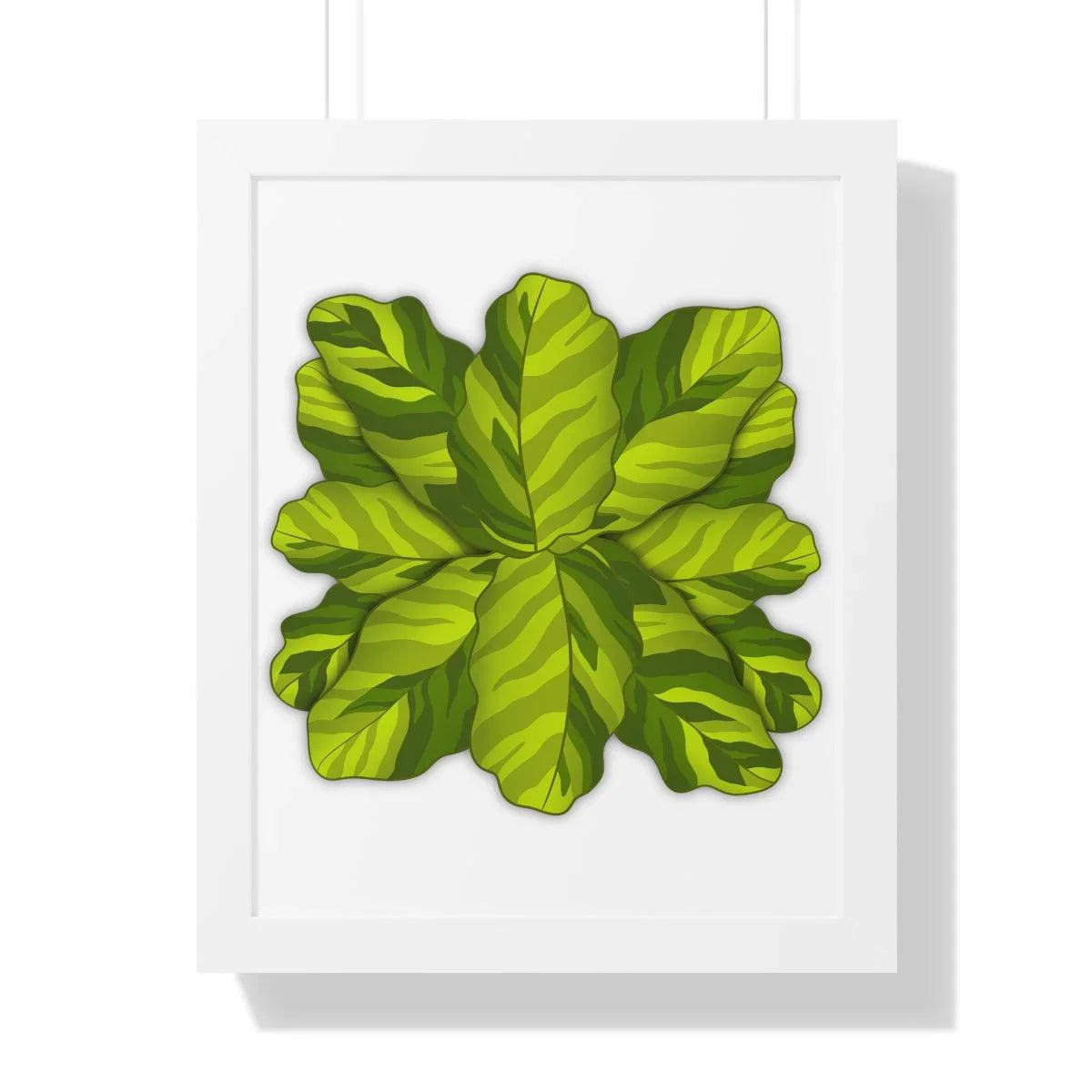 Calathea Yellow Fusion Framed Print, Poster, Laura Christine Photography & Design, Bottle, Calathea, Canvas Bag, Coffee, Drinkware, Framed, Home & Living, Indoor, Paper, Posters, Prayer Plant, Reusable, Shopping Bag, Tea, Tote Bag, Travel, Tumbler, Water, Yellow Fusion, Laura Christine Photography & Design, laurachristinedesign.com