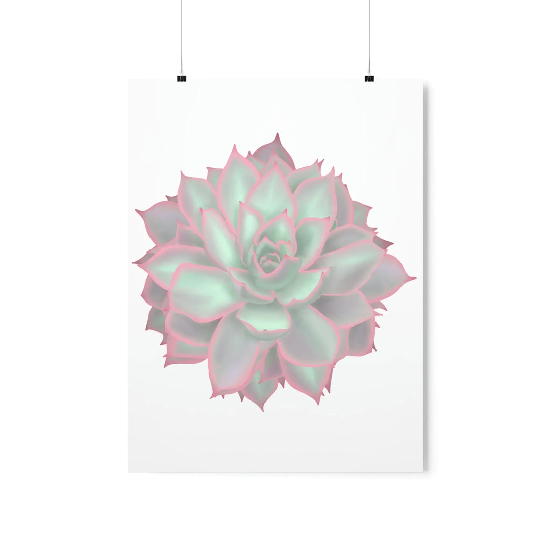 Echeveria Violet Queen Print – Succulent Wall Art | Botanical Poster On Museum Grade Paper