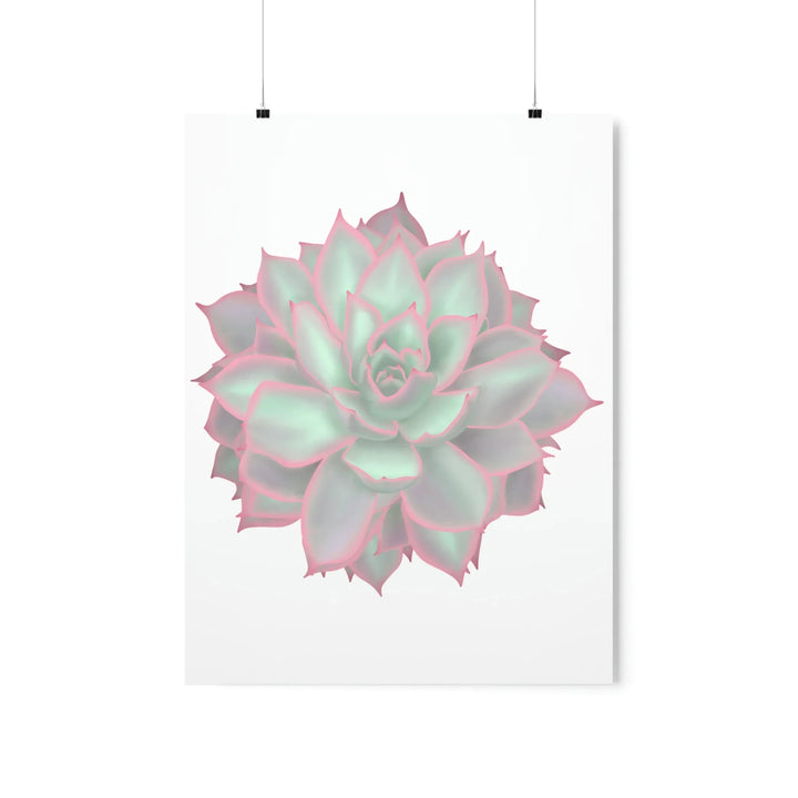 Echeveria Violet Queen Print – Succulent Wall Art | Botanical Poster On Museum Grade Paper