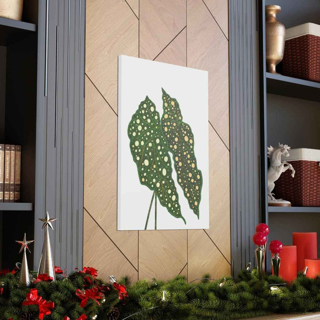 Begonia Maculata Canvas | Premium Canvas Art Print - Matte Finish, Durable Wall Decor