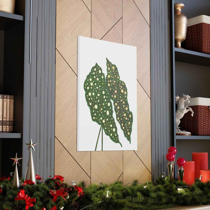 Begonia Maculata Canvas | Premium Canvas Art Print - Matte Finish, Durable Wall Decor