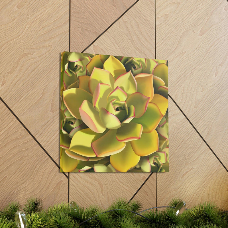 Noble Aeonium Succulent Pattern Canvas, Canvas, Printify, Art & Wall Decor, Canvas, Hanging Hardware, Home & Living, Indoor, Laura Christine Photography & Design, laurachristinedesign.com