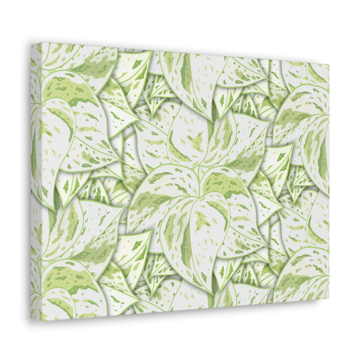 Snow Queen Pothos Canvas – Matte Finish Canvas Art Print | Variegated Botanical Wall Decor
