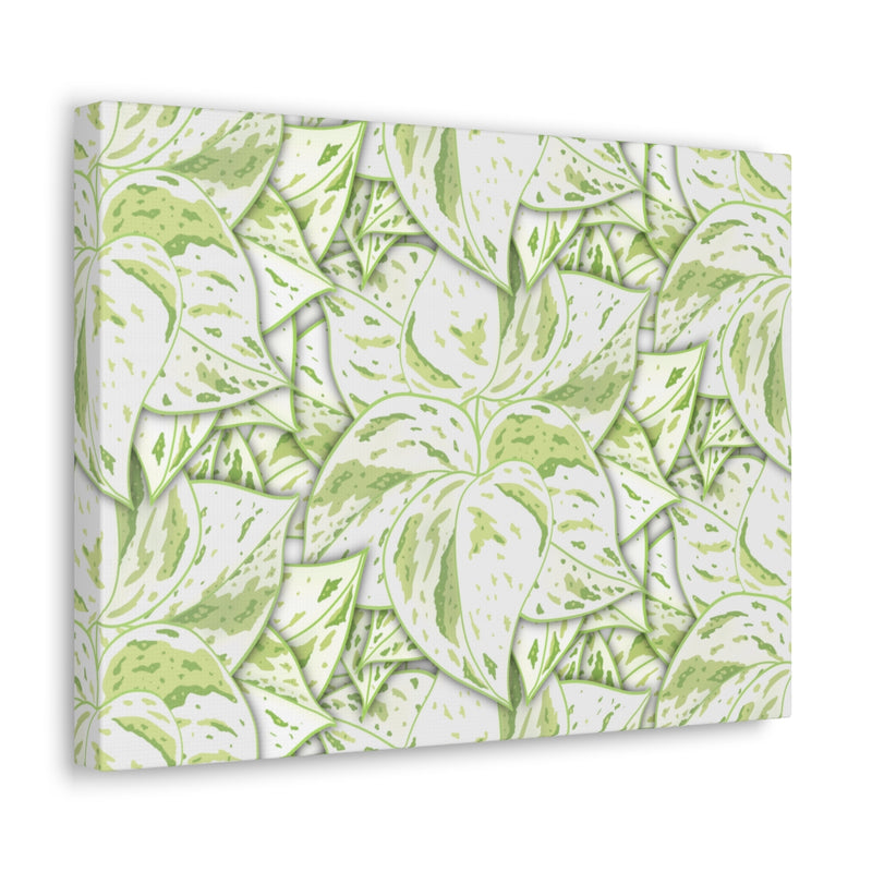 Snow Queen Pothos Canvas