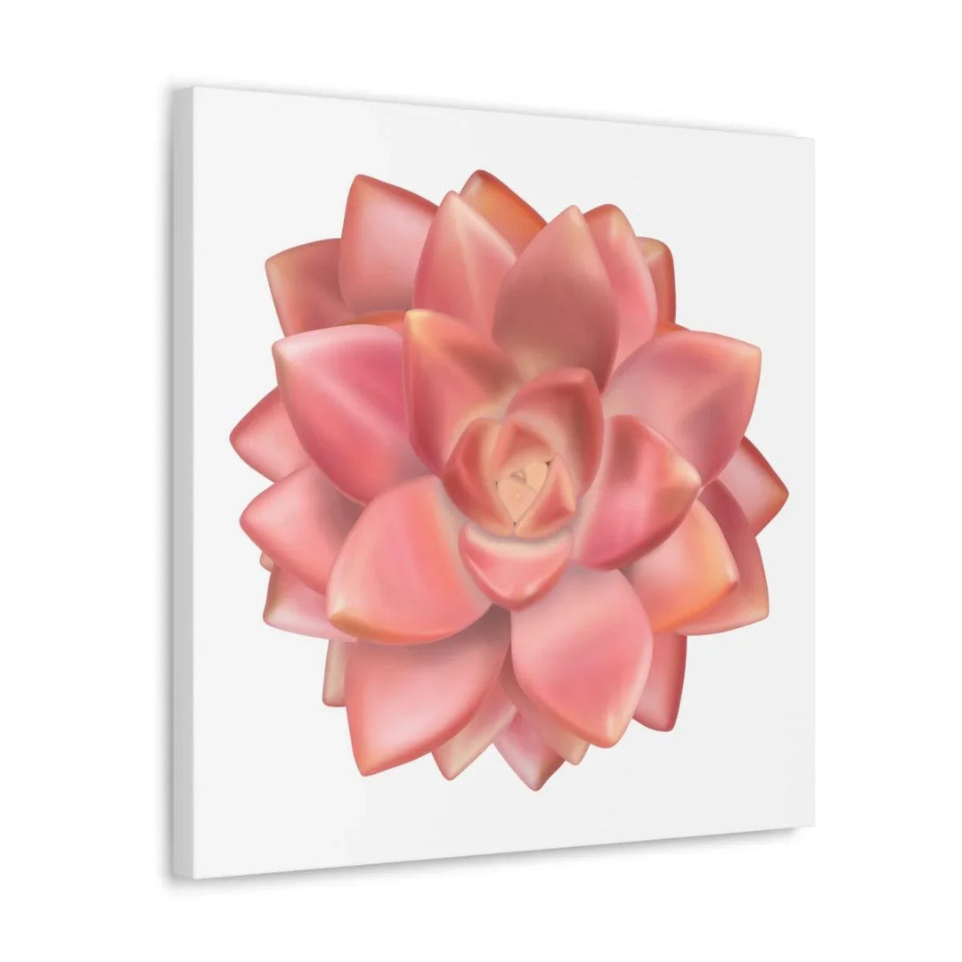 Graptosedum 'California Sunset' Succulent Canvas, Canvas, Laura Christine Photography & Design, Art & Wall Decor, Canvas, Hanging Hardware, Home & Living, Indoor, Laura Christine Photography & Design, laurachristinedesign.com