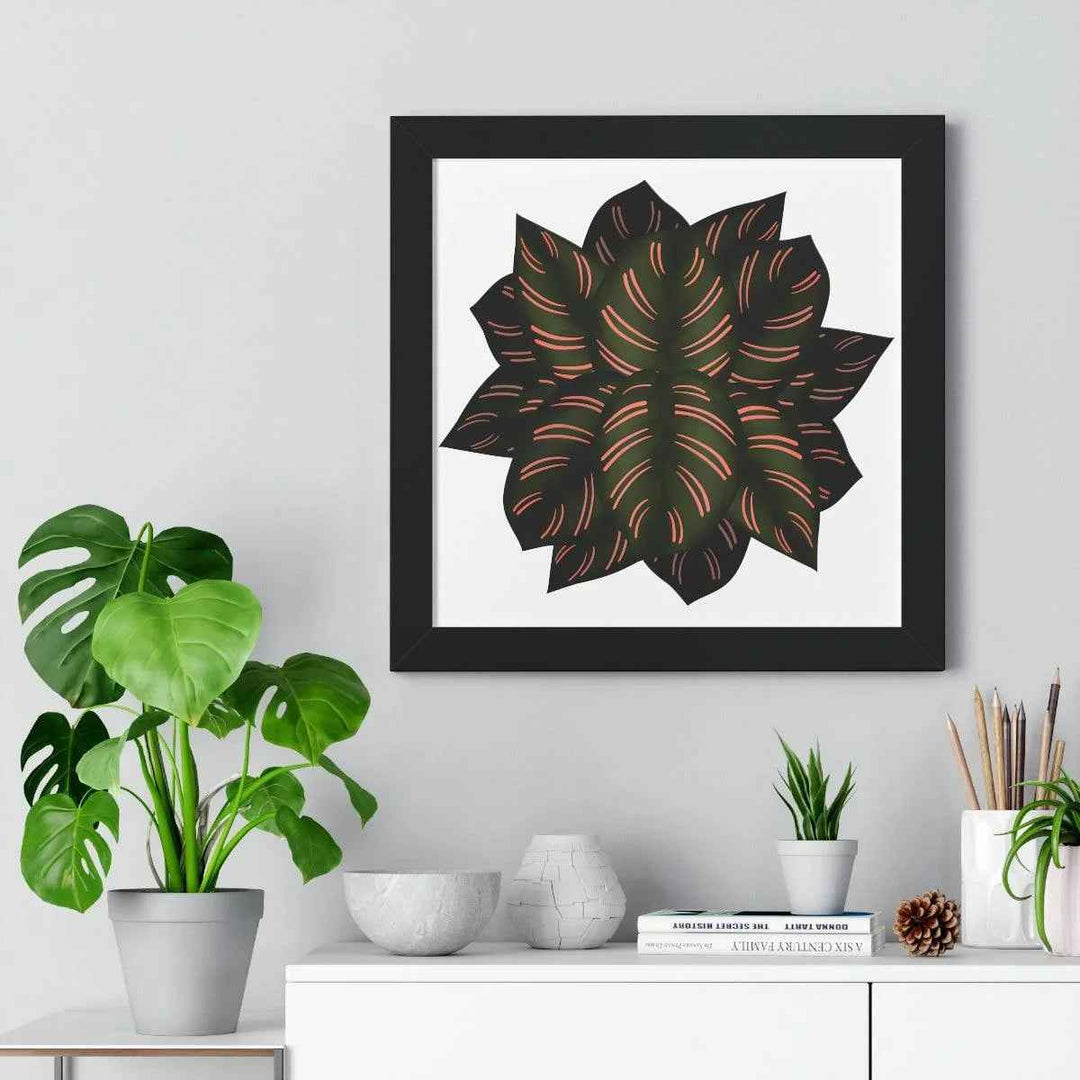 Calathea Pinstripe Print - Framed Botanical Art With Matte Finish & Acrylic Cover