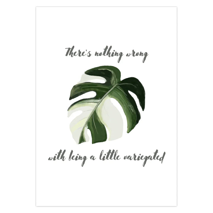 Variegated Greeting Card – Unique Plant Lover Card with Envelope Included