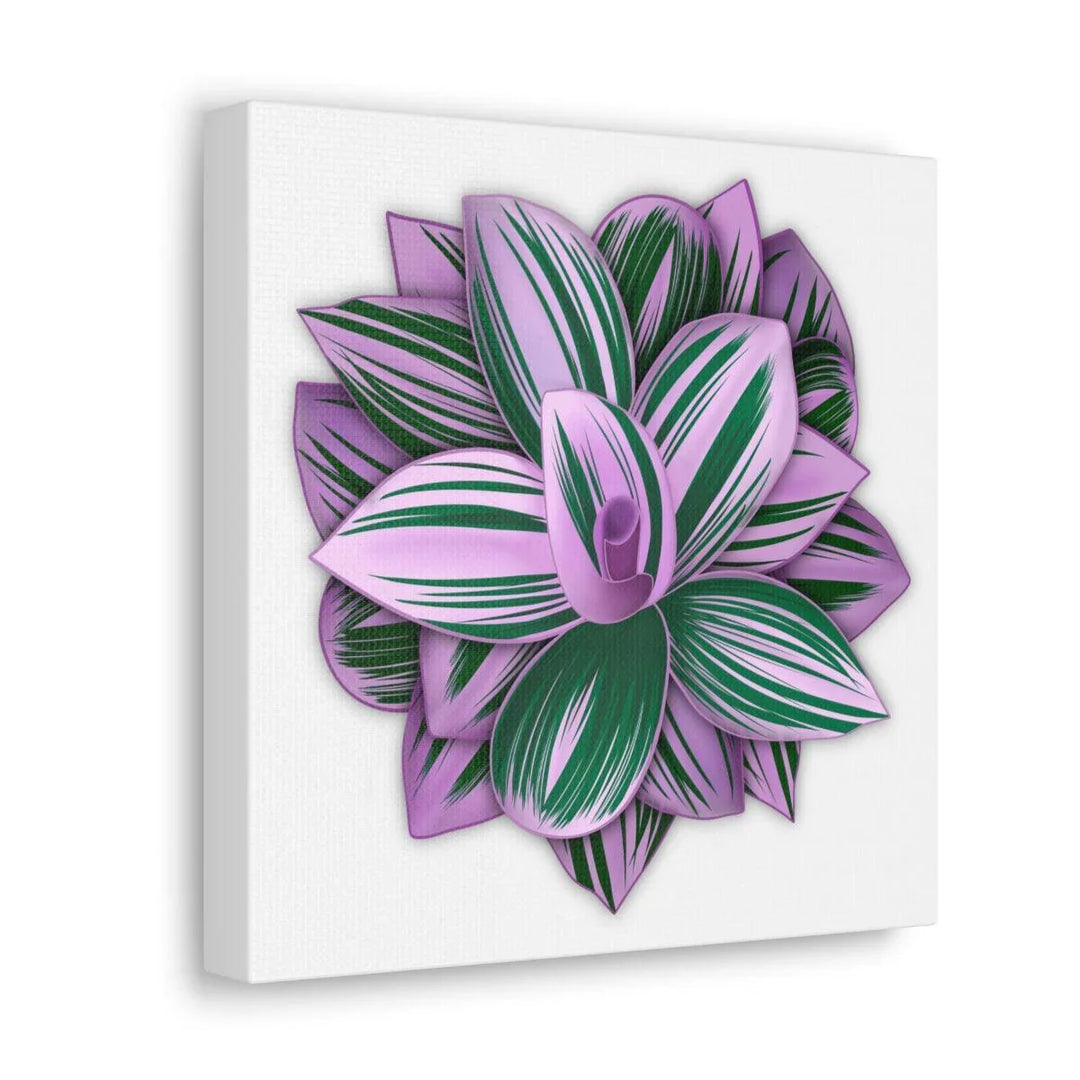 Tradescantia Nanouk Canvas – Botanical Canvas Art Print | Matte Finish Wall Decor - Laura Christine Photography & Design