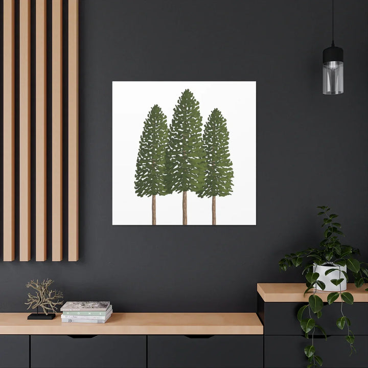 Ponderosa Pine Canvas - Large Stretched Cotton Canvas Art Print With Matte Finish