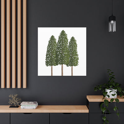 Ponderosa Pine Canvas