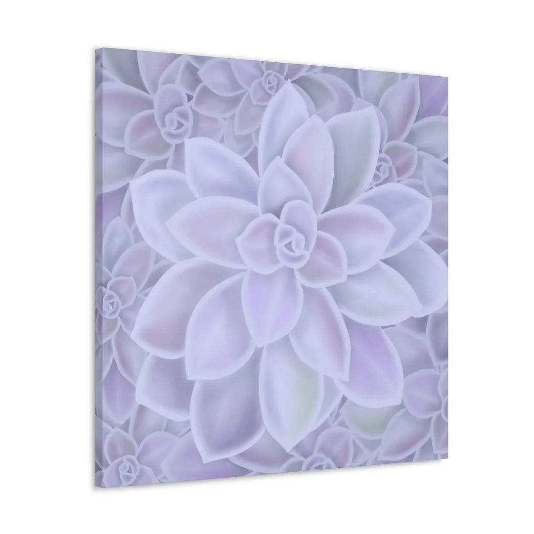 Graptopetalum 'Murasaki' Succulent Canvas, Canvas, Laura Christine Photography & Design, Art & Wall Decor, Canvas, Hanging Hardware, Home & Living, Indoor, Laura Christine Photography & Design, laurachristinedesign.com