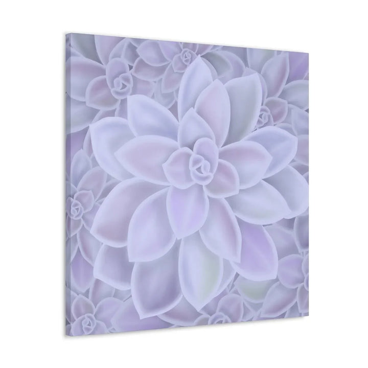 Graptopetalum 'Murasaki' Succulent Canvas, Canvas, Laura Christine Photography & Design, Art & Wall Decor, Canvas, Hanging Hardware, Home & Living, Indoor, Laura Christine Photography & Design, laurachristinedesign.com