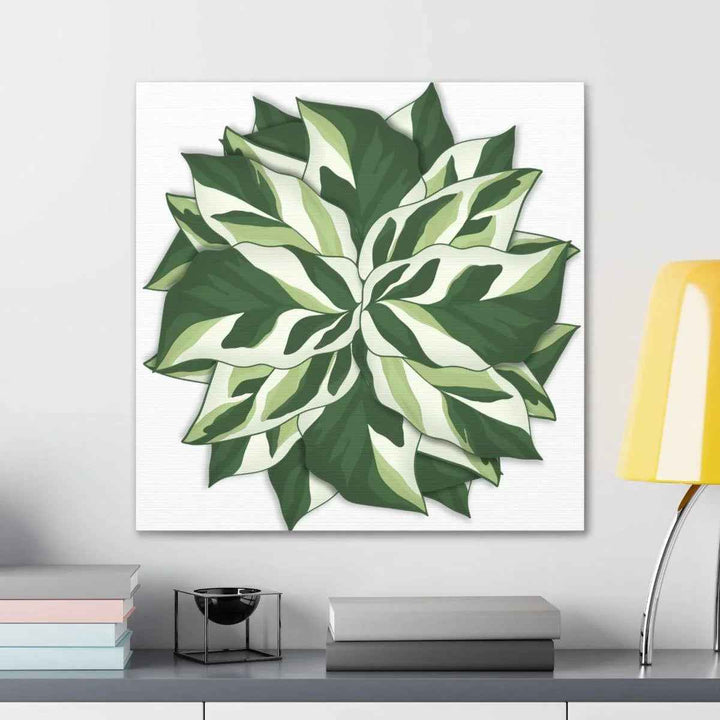 Calathea White Fusion Canvas | Indoor Wall Art - Matte Finish Botanical Canvas Art Print
