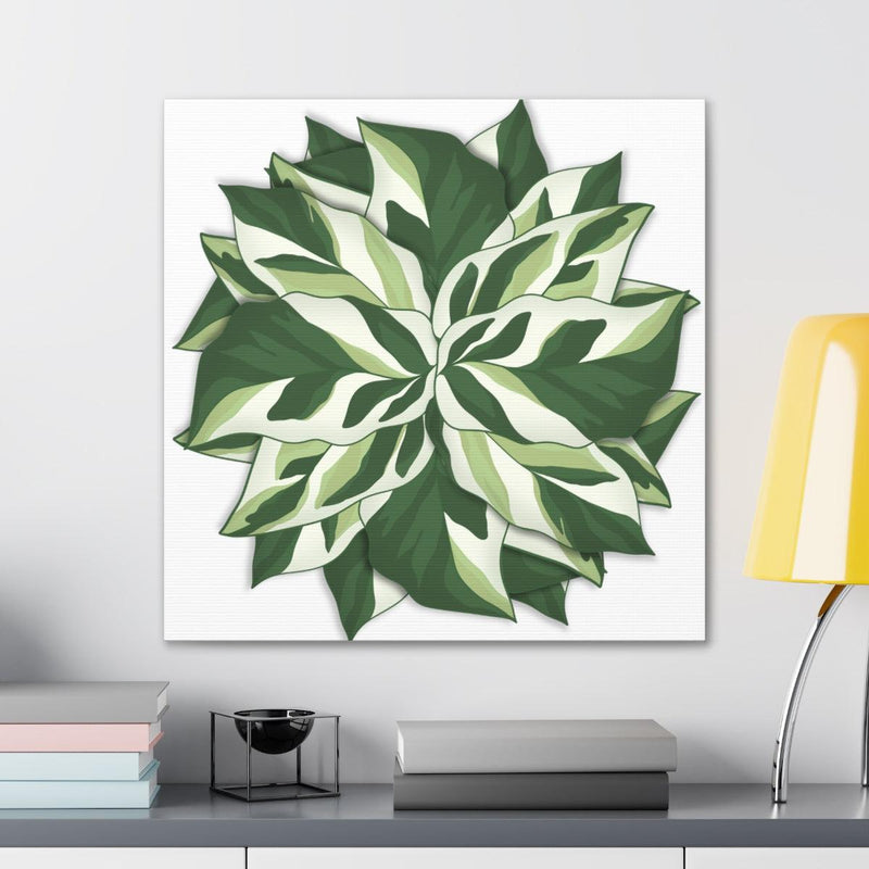 Calathea White Fusion Canvas, Canvas, Laura Christine Photography & Design, Art & Wall Decor, Bottle, Calathea, Canvas, Canvas Bag, Coffee, Drinkware, Hanging Hardware, Home & Living, Indoor, Prayer Plant, Reusable, Shopping Bag, Tea, Tote Bag, Travel, Tumbler, Water, White Fusion, Laura Christine Photography & Design, laurachristinedesign.com