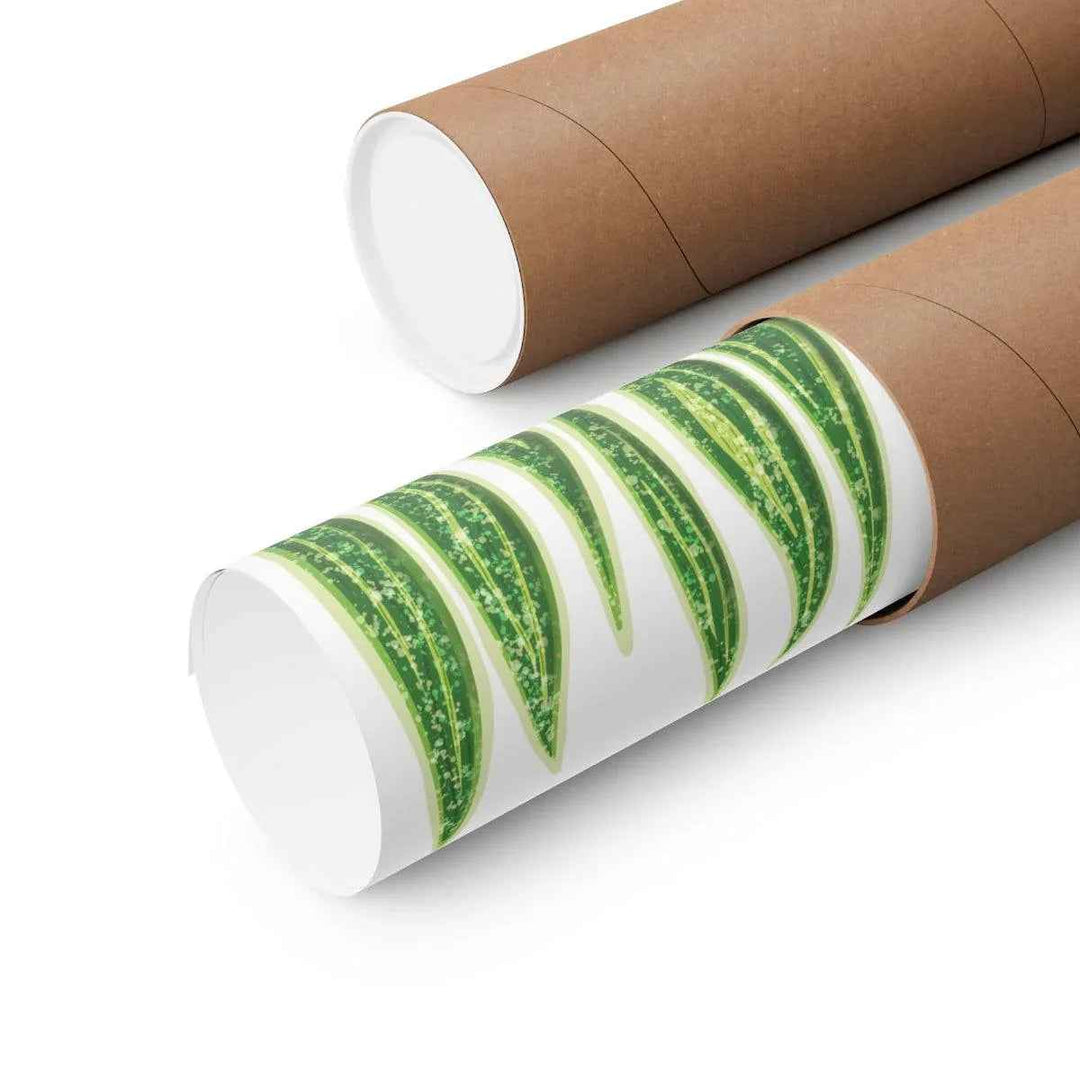 Snake Plant Print – Large Botanical Wall Art Poster | Matte Finish | Unframed