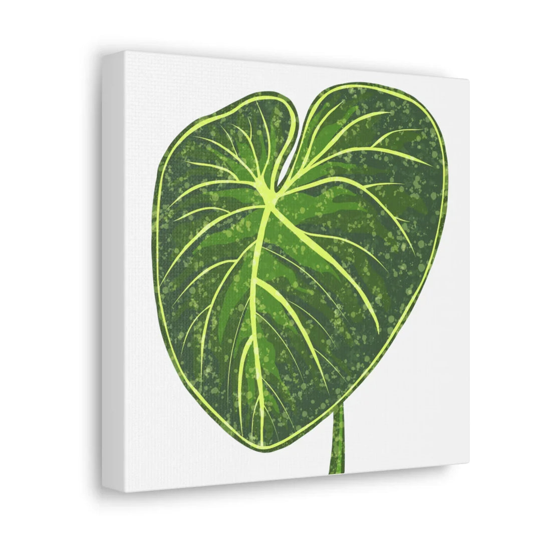 Philodendron Gloriosum Canvas - Stretched Canvas Art Print | Matte Indoor Wall Art - Laura Christine Photography & Design