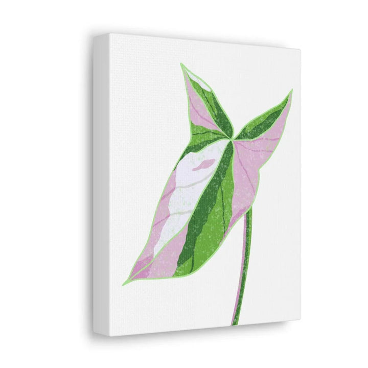 Syngonium Tricolor Canvas | Botanical Canvas Art Print With Matte Finish - Laura Christine Photography & Design