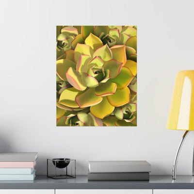 Noble Aeonium Succulent Pattern Print, Poster, Printify, Back to School, Home & Living, Indoor, Matte, Paper, Posters, Valentine's Day promotion, Laura Christine Photography & Design, laurachristinedesign.com