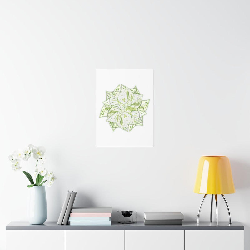 Snow Queen Pothos Print, Poster, Laura Christine Photography & Design, Back to School, Home & Living, Indoor, Matte, Paper, Posters, Valentine&