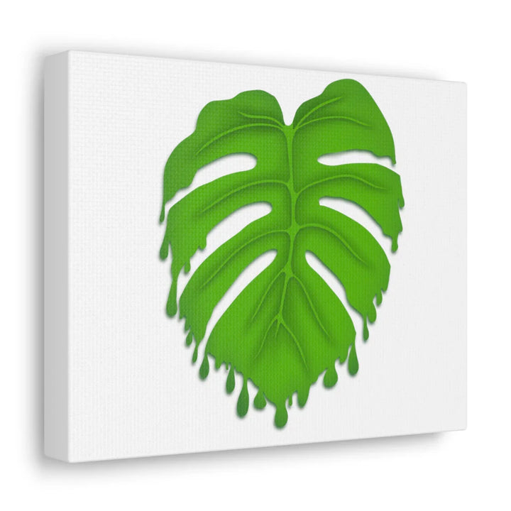 Melting Monstera Canvas | Large Botanical Canvas Art Print With Matte Finish