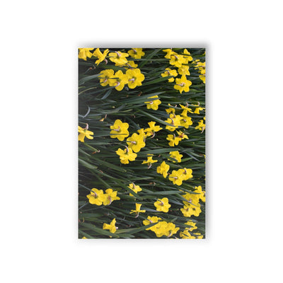 Yellow daffodils - Postcard, 10-pack, Paper products, Printify, Back to School, Home & Living, Indoor, Matte, Paper, Posters, Laura Christine Photography & Design, laurachristinedesign.com