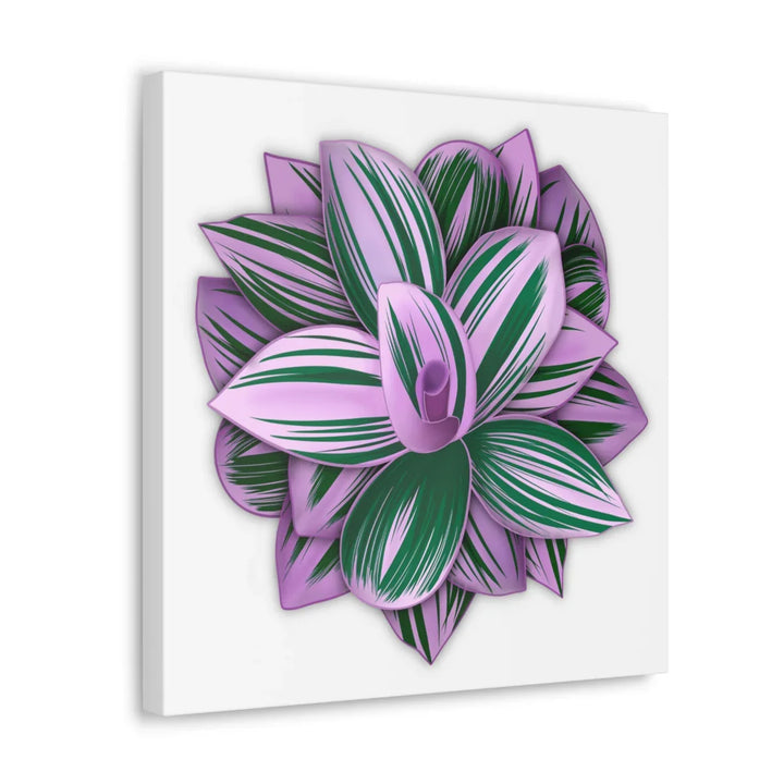 Tradescantia Nanouk Canvas – Botanical Canvas Art Print | Matte Finish Wall Decor - Laura Christine Photography & Design