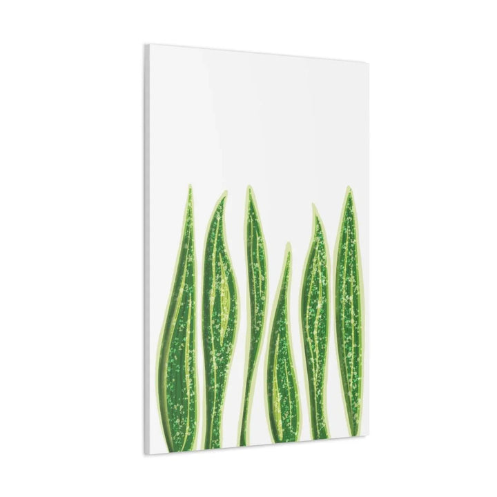 Snake Plant Canvas | Botanical Canvas Decor - Matte Finish Artwork for Living Room - Laura Christine Photography & Design