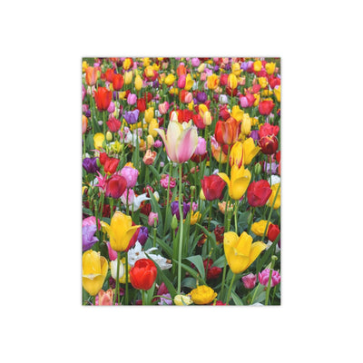 Rainbow tulip field - Photo Poster, Poster, Printify, Art & Wall Decor, Home & Living, Paper, Poster, Posters, Laura Christine Photography & Design, laurachristinedesign.com
